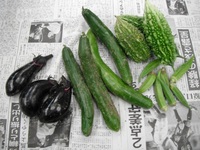 野菜写真.jpg