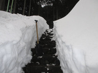 雪の道.JPG