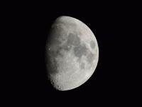 shu190316soba.moon.jpg