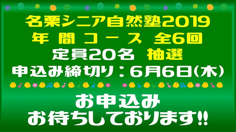 http://www.naguri-genki.com/blog/uploaded/2019%E5%B9%B4%E5%BA%A6%E3%82%B7%E3%83%8B%E3%82%A2%E3%80%80%E3%83%97%E3%83%AC%E3%82%BC%E3%83%B3%E3%80%80%E7%B9%81%E9%87%8C%E4%BD%9C%E6%88%90.jpg